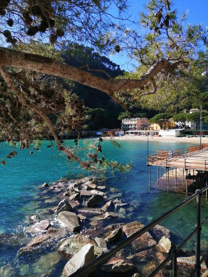 La Casetta - Near The Sea & Free Parking Rapallo Dış mekan fotoğraf